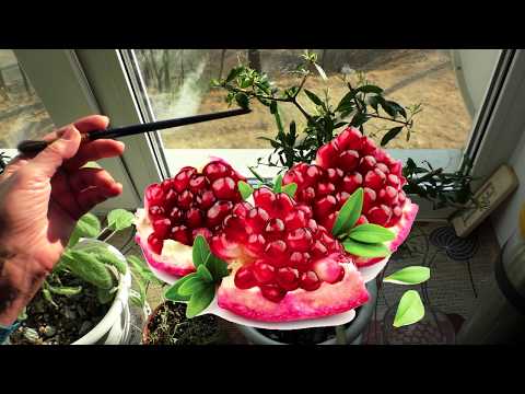 Зеленая аптека на подоконнике. Лекарственные растения дома