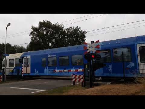 Spoorwegovergang Dalfsen // Dutch Railroad Crossing
