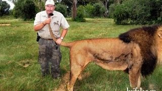 Өлім және денсаулықтарымен ойнағандар #1