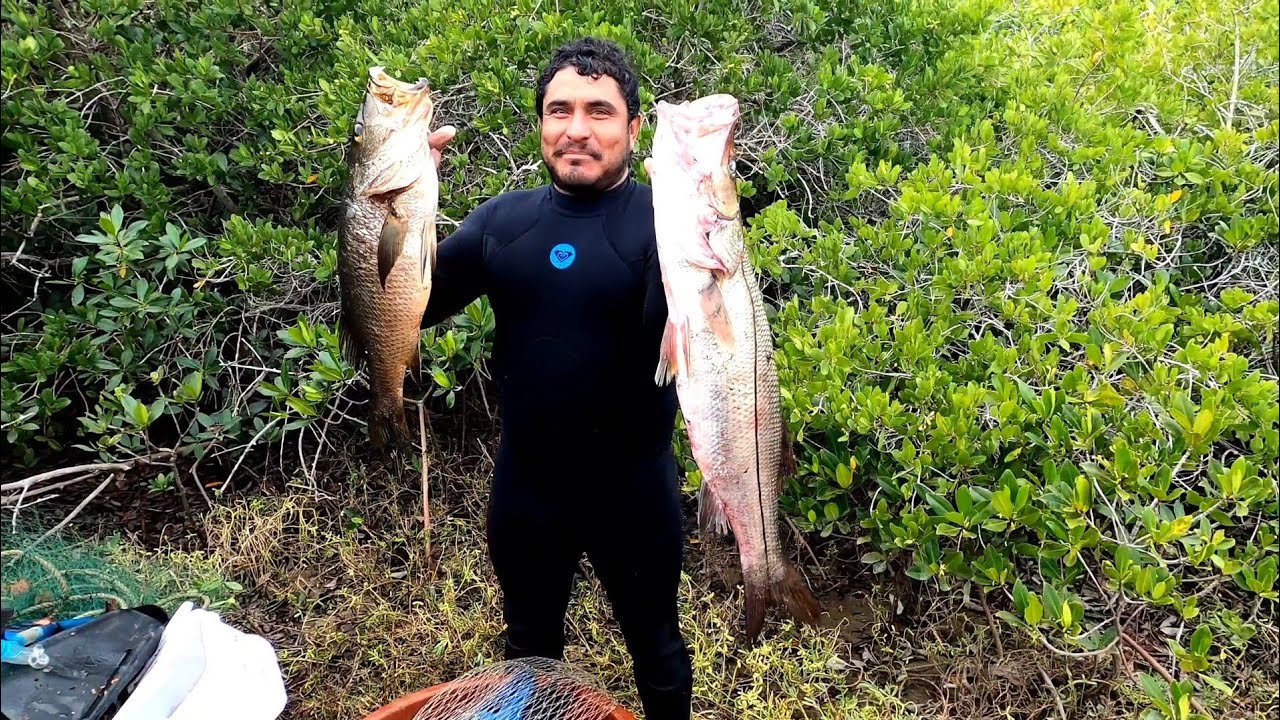 así se zarandea un pargo grande