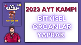 Bitkisel Organlar-Yaprak AYT Biyoloji Kampı Konu Anlatımı/ 12.Sınıf 2024 Tayfa