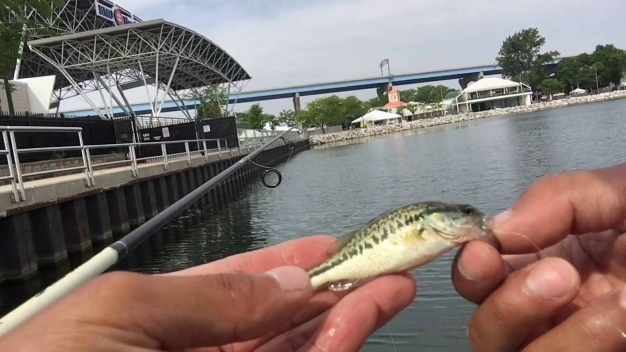 How To Catch The World Smallest Bass 