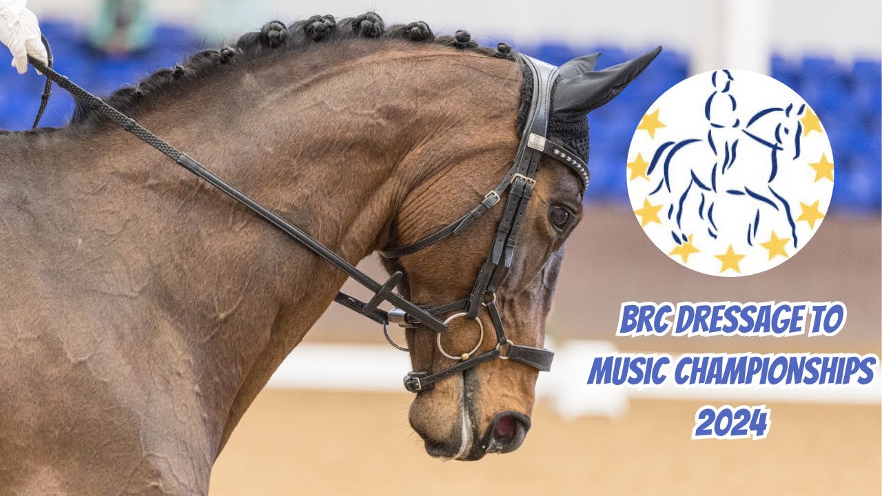 BRC DRESSAGE TO MUSIC CHAMPIONSHIPS ~ Adventures of Megatron | Equestrian Vlog