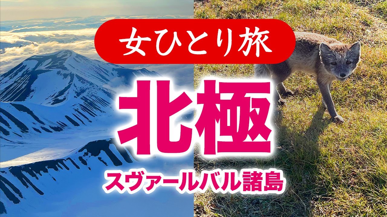 【女ひとり旅】北極・世界最北の街スヴァールバル諸島へ・ノルウェー領／観光 2023.07【海外旅行】