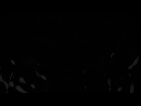 Reading No.11 - Reader: Robert Macfarlane, Artist: Stanley Donwood