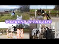 Weekend in the life with all the ponies  new house shopping haul