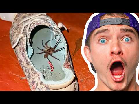 New Fears Unlocked 😱