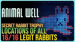All Rabbit Locations Animal Well