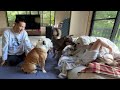 ２ヶ月前まで隅っこで固まってた保護犬…今は朝起きた瞬間「おはよう！」と駆け寄ってくれるまで成長しました！