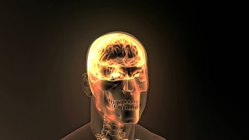 Neural Body