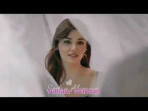 مش قولتلك عمر فتحى