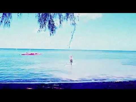 Hawaii Five-0 CBS World Premiere Pacific Ocean Sur...