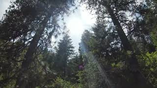 Orofino Idaho disc golf course, Hole #10