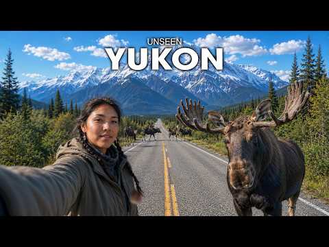 YUKON: 70,000 Moose or 43,000 People — Which Rules Here? | 4K Travel Documentary