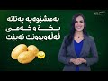 بەمشێوەیە پەتاتە بخۆن قەڵەوتان ناکات بەمشێوەیە پەتاتە بخۆن قەڵەوتان ناکات