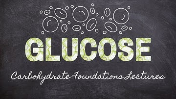 How Red Blood Cells Use Glucose | Part 7 Carbohydrate Foundations | Macronutrients Lecture 53