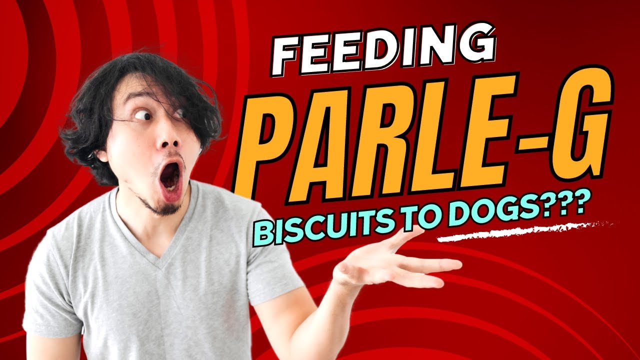 Is Parle-G Biscuit bad for dogs? - YouTube