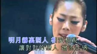 關淑怡 演唱會（2006）難得有情人 Rare Lovers