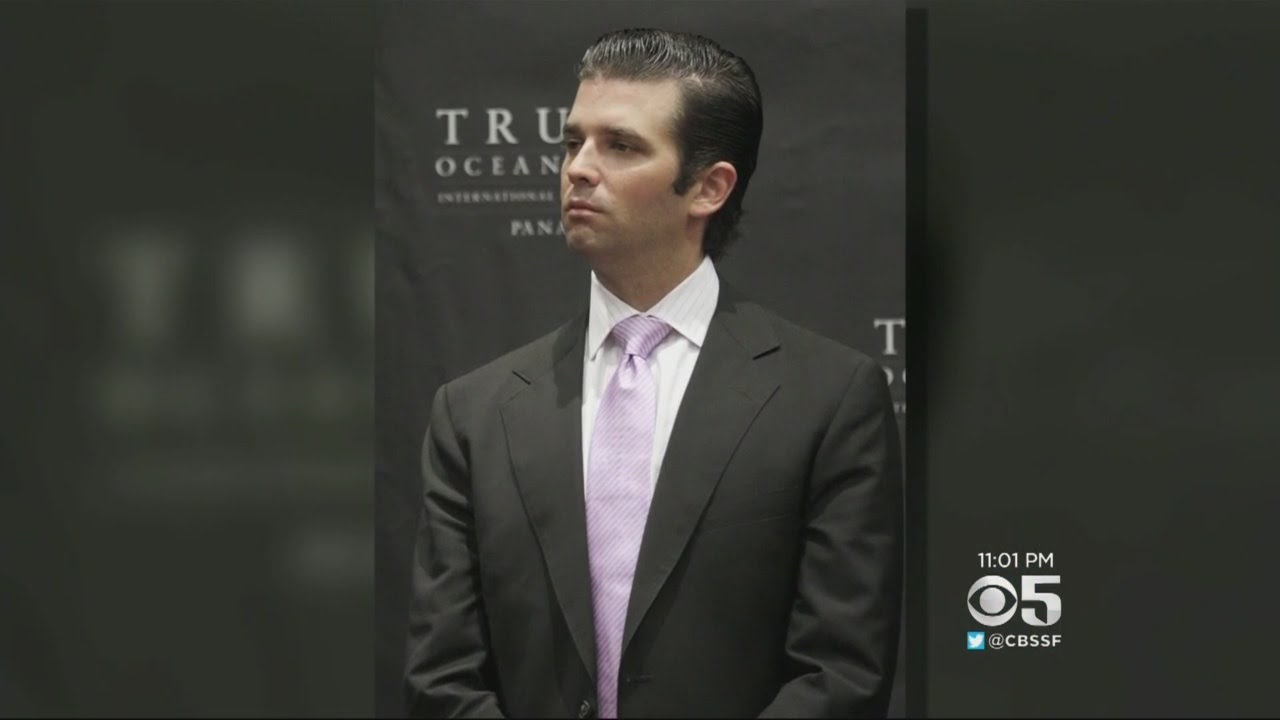 'The Daily': Donald Trump Jr.'s Russia Meeting