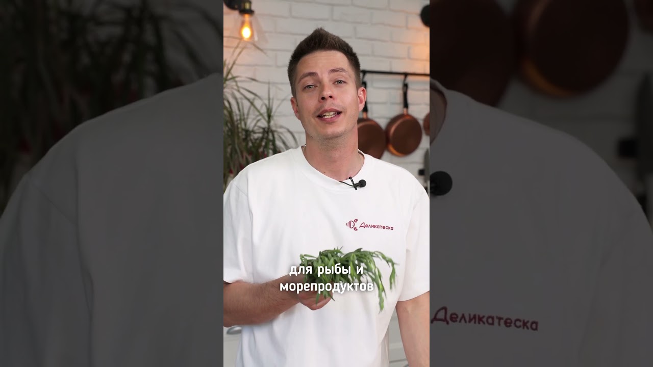 Что такое эстрагон? 