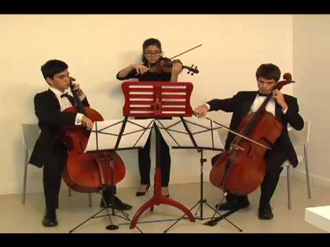 Miami Classical Trio