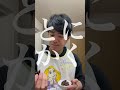 体脂肪率6%まで落とした時食べていた超おすすめのおやつ質3選を紹介！ #shorts