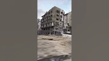 בוקר טוב יבני זונות 