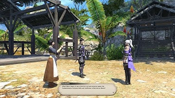 FFXIV ARR : NIN Lv30 My First Mudra