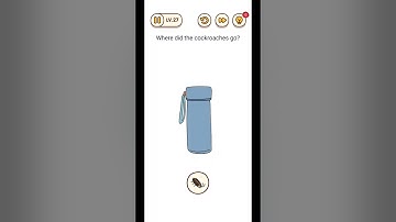 Brain Find Level 27 Where did the cockroaches go ?#brainfind #brainfindgame