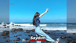 Ogün Sanlısoy - Saydım (speed up) Resimi