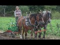 Mehr als Bio in Vorpommern: Feldarbeit nur mit Pferden