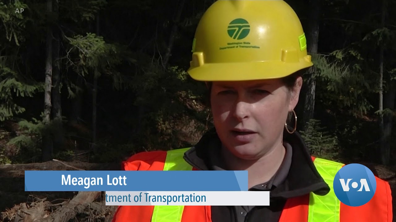 Wildlife Bridge to Reduce Car Collisions with Animals