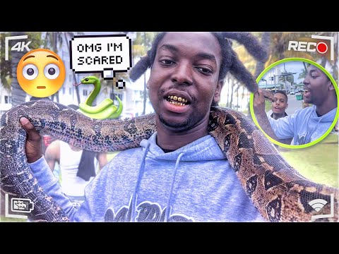 HUGE SNAKE TRIES TO BITE @FloridaMadeMG & @SuaveJayy MIAMI BEACH 2022 🏝