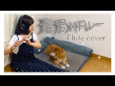 【Flute cover】髭男メドレー/フルート演奏【歌詞あり】