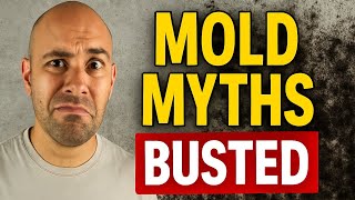 Mold Myths Busted: What Really Works (and What Doesn’t)