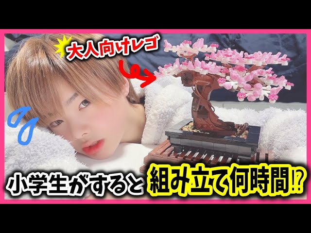 大人　小学生 に小学生が挑戦!!!!【巣ごもりでブーム】【おうち時間】 - YouTube