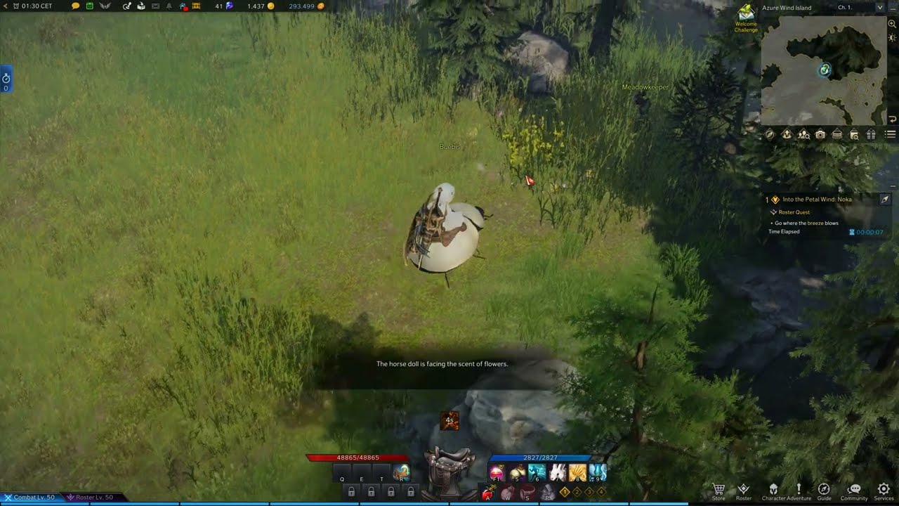 Into the Petal Wind Noka, Lost Ark Quest YouTube