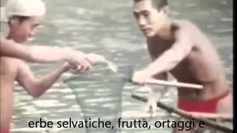 Come si chiama il piccolo filo di paglia?