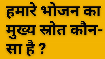 हमारे भोजन का मुख्य स्रोत कौन-सा है ? Class 6 Science Chapter 1