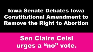 Senator Celsi opposes Iowa Constitutional Amendment to ban abortion (4/6/21)