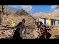 Collecting firewood by Fariba and Kosar