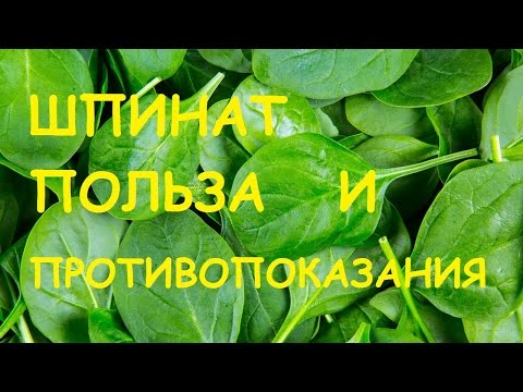 Шпинат. Польза и вред.