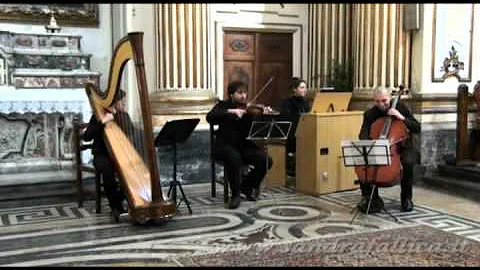 Marcia Nuziale - R.Wagner - Arpa,Organo,Viol...  &...