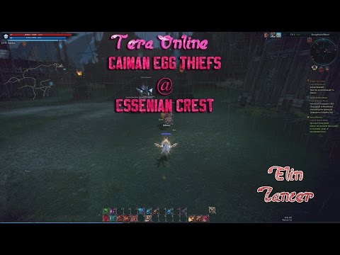 Tera | Caiman Egg Thieves | Essenian Crest | Solo Elin Lancer