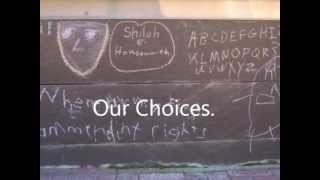 Safe Schools/Healthy Students Albemarle-Charlottesville Project - 2011