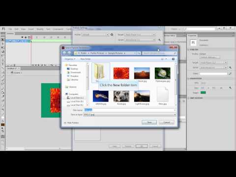 Publish File In Flash