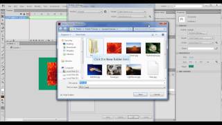 Publish File In Flash