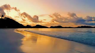 "Punta Sur Eco Beach Park – Mexico’s Hidden Paradise You Must See!" #youtube #viralvideo screenshot 5
