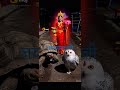 Jai mata di❤️ #trendingshorts#mata#navratri#status#viralvideo#aivideo#elvishyadav#jammukashmir