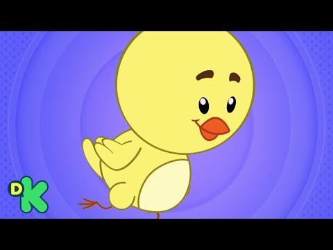 MEU PINTINHO AMARELINHO | PARQUE PATATI PATATÁ - CANTE NO KARAOKÊ | DISCOVERY KIDS BRASIL
